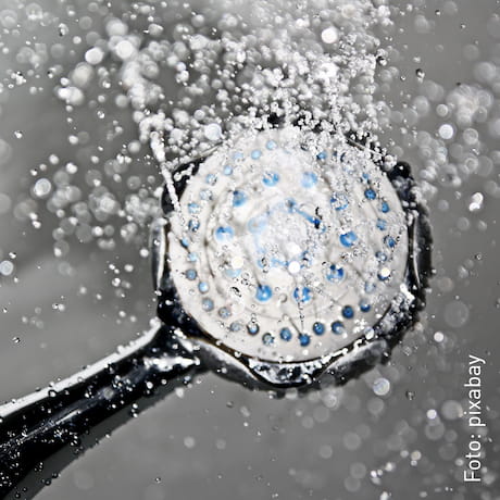 Pommeau de douche pulvérisateur